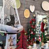 New Items - Lili & Co - Xplorioâ„¢ Kleinmond