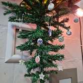 New Items - Lili & Co - Xplorioâ„¢ Kleinmond