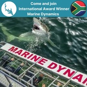 Next Marine Dynamics Shark Cage Diving Trip: 2 DecemberÂ 2021