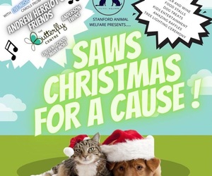 10 December 2021: SAWS Christmas for a cause!