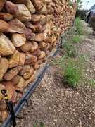 Micro-Sprinkler Irrigation System Installation in Perlemoenbaai