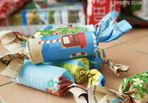 Christmas Camping Tip: Christmas Tree and Lights