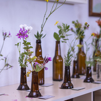 Fynbos Display - Pearly Beach Conservancy - Xplorioâ„¢ Gansbaai