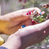 Nature Experience - Pearly Beach Conservancy - Xplorioâ„¢ Gansbaai