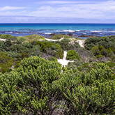 Beaches and Fynbos - Pearly Beach Conservancy - Xplorioâ„¢ Gansbaai