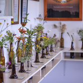 Flower Display - Pearly Beach Conservancy - Xplorioâ„¢ Gansbaai