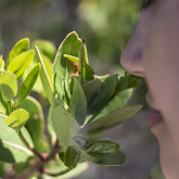 Explore Nature - Pearly Beach Conservancy - Xplorioâ„¢ Gansbaai