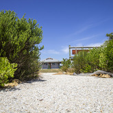 Herbarium - Pearly Beach Conservancy - Xplorioâ„¢ Gansbaai