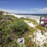 Protected Beaches - Pearly Beach Conservancy - Xplorioâ„¢ Gansbaai