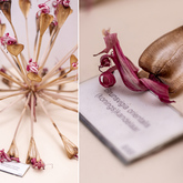 Tolbos - Pearly Beach Conservancy - Xplorioâ„¢ Gansbaai