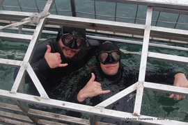 Daily Blog: 07 December 2021 | Shark Cage Diving in South Africa