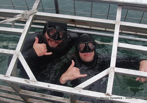 Daily Blog: 07 December 2021 | Shark Cage Diving in South Africa