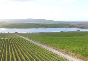 19 December 2021:Â Wine Walk at Lomond