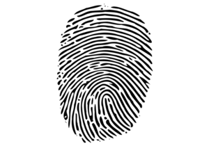 Criminal Record ChecksÂ Now Available!