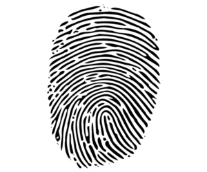 Criminal Record ChecksÂ Now Available!