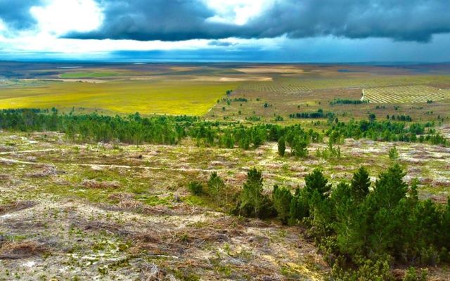 wortelgat_farm_5_1639396243