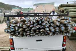 New Split PolesÂ in Multiple Lengths