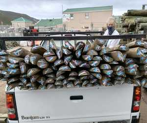 New Split PolesÂ in Multiple Lengths