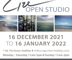Lize Open StudioÂ 16 December 2021 - 16 January 2022