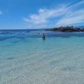 Amazing swimming day