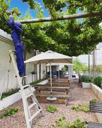 Raka's Shaded Wine Tasting Spot