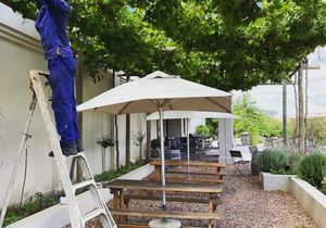 Raka's Shaded Wine Tasting Spot