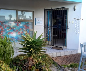 Lize Art Open House and Studio is OPEN!!