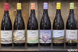 'tis the Season, and we're OPEN every day...