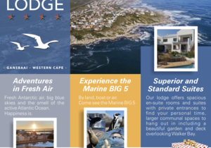 Saxon Lodge Online Marketing