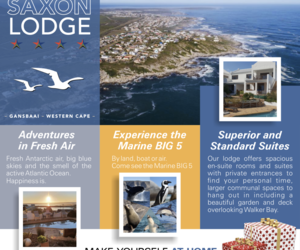 Saxon Lodge Online Marketing