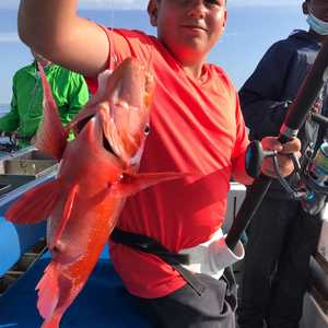 271237512_4555336687926518_9063889876276572458_n_1641285287