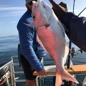 271243849_4555336504593203_6975603238759536530_n_1641285287