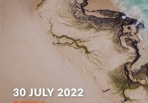 The 2022 Merrell Whale of Trail