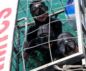 Daily Blog: 04 January 2022 | Shark Cage Diving in South Africa