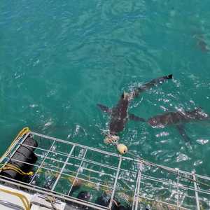 WhatsApp_Image_2022_01_06_at_08.38.57_3__1641455003