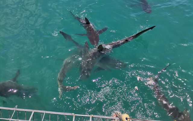 WhatsApp_Image_2022_01_06_at_08.38.58_1__1641455004