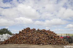 struisbaai_building_construction_fynbos_pole_depot_poles_1551170409_1641540442