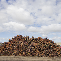 Poles - Fynbos Pole Depot Struisbaai - Xplorioâ„¢ Struisbaai
