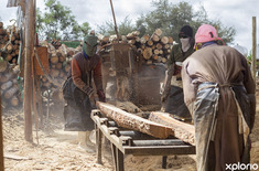 struisbaai_building_construction_fynbos_pole_depot_cutting_wood_1551170430_1641540504