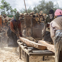 Cutting Wood - Fynbos Pole Depot Struisbaai - Xplorioâ„¢ Struisbaai