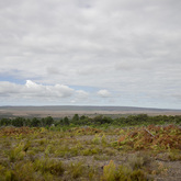 Cleanup Site - Fynbos Pole Depot Struisbaai - Xplorioâ„¢ Struisbaai