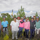 Clean-up Team - Fynbos Pole Depot Struisbaai - Xplorioâ„¢ Struisbaai