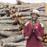 On Site Supervisor - Fynbos Pole Depot Struisbaai - Xplorioâ„¢ Struisbaai