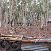 Paintball Field - Rivals Paintball - Xplorioâ„¢ Napier