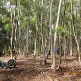 Paintball - Rivals Paintball - Xplorioâ„¢ Napier