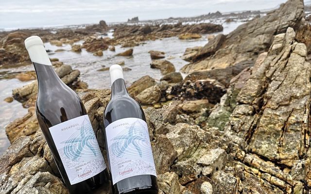 271731023_6773706226003941_152000405994462409_n_1641969530