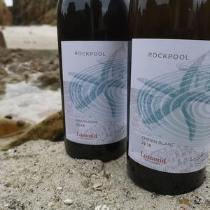 271776008_6773706219337275_6976422872891925146_n_1641969530