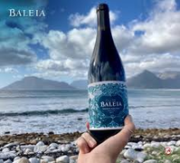 Saturday | SundayÂ Weekend Tasting (Baleia Vinhos Rochas)