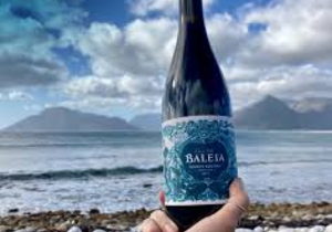 Saturday | SundayÂ Weekend Tasting (Baleia Vinhos Rochas)