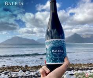 Saturday | SundayÂ Weekend Tasting (Baleia Vinhos Rochas)